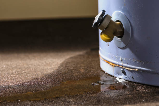 Best Local water damage restoration  in Marysville, MI