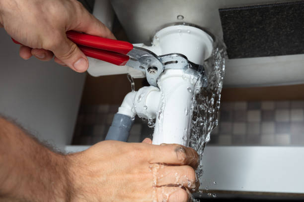 Best Ceiling water damage repair  in Marysville, MI