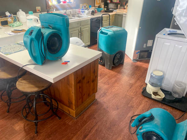 Best Basement water damage restoration  in Marysville, MI