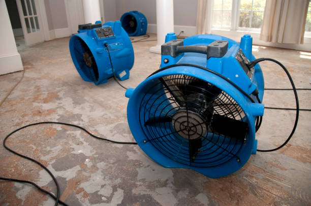 Best Water damage restoration near me  in Marysville, MI