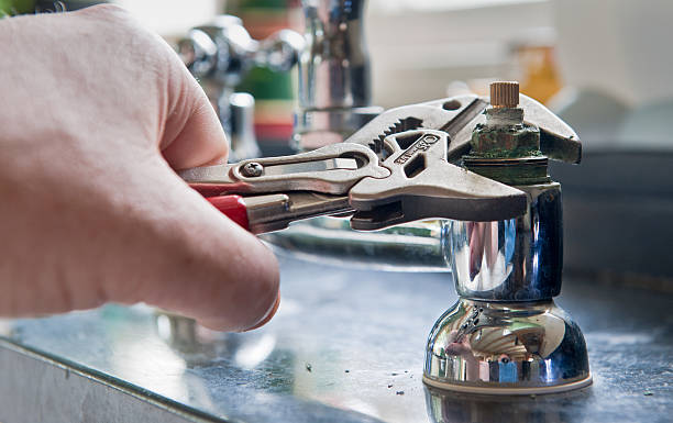 Best Flooded house restoration  in Marysville, MI