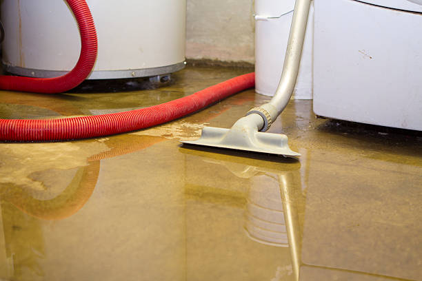 Local water damage restoration in MI